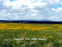 Blick vom Radweg Trautenstein - Hasselfelde zum Brocken im Frhling Trautenstein