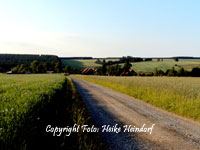 Feldweg zwischen dem Radweg und der Hagemhle