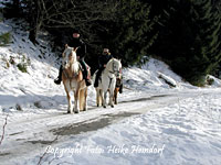 Trautenstein im Winter