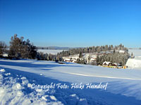 Trautenstein im Winter