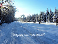 Trautenstein im Winter