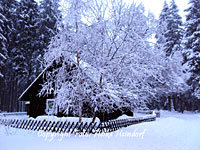 Carlshaus bei Trautenstein & Hasselfelde